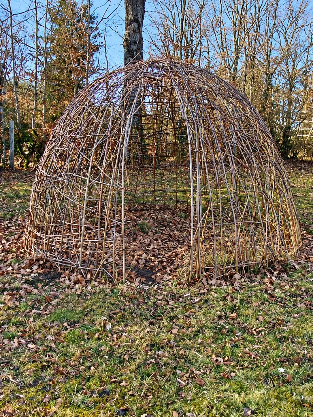 Une structure en forme de dôme faite de branches d'osier tressées se dresse sur une pelouse couverte de feuilles mortes, devant des arbres sans feuilles.