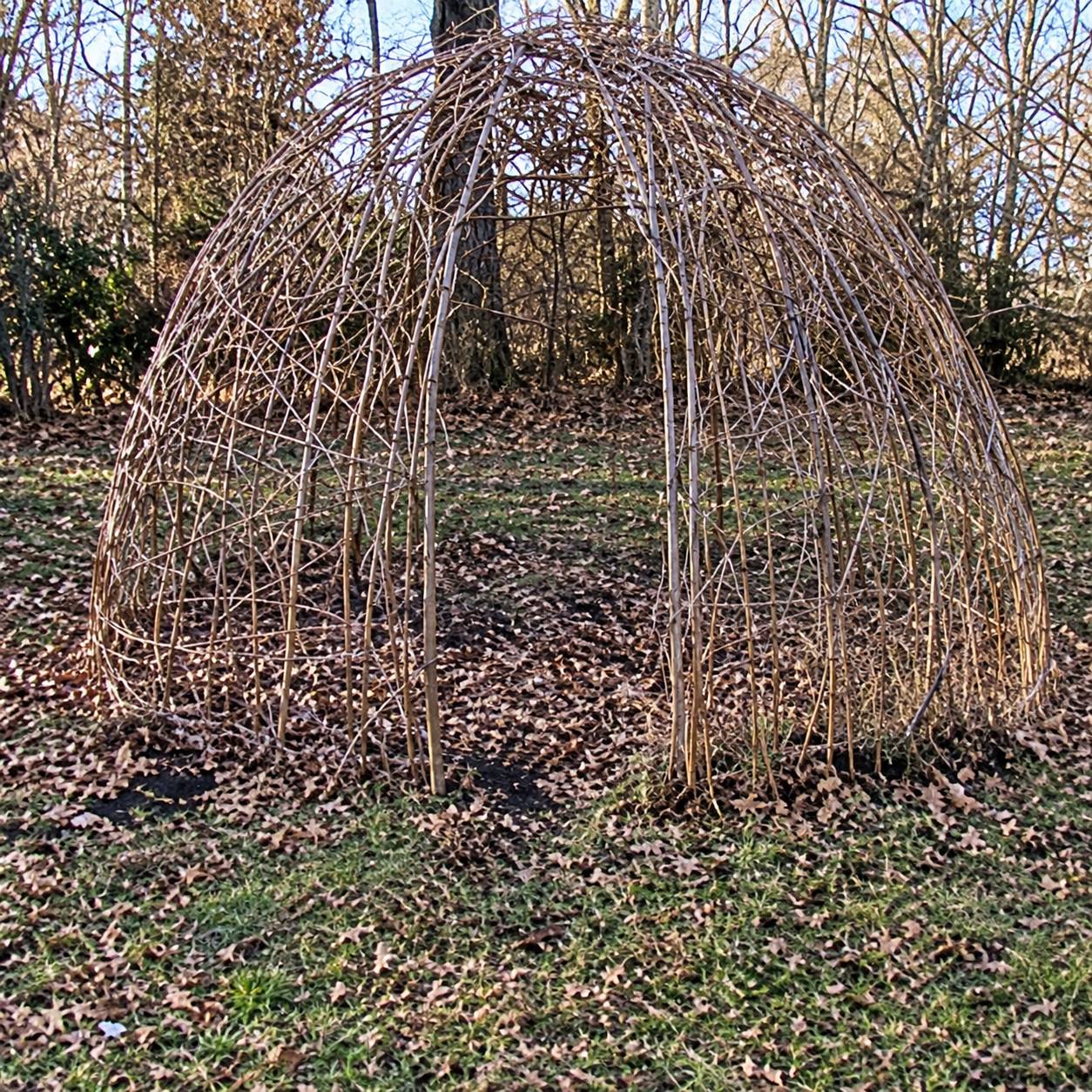 Une structure en forme de dôme réalisée avec des branches de saule tressées, posée sur l'herbe au milieu d'arbres sans feuilles.