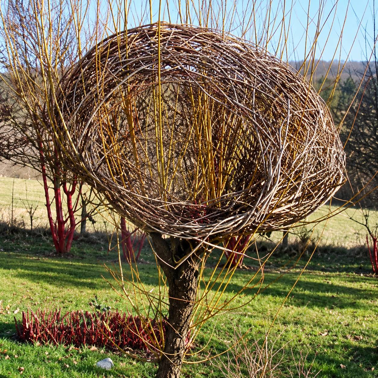 Une grande structure en osier tressé en forme de nid ou de dôme est installée sur un tronc d'arbre, dans un jardin herbeux ensoleillé.